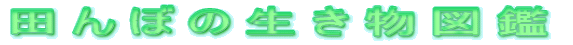 cڂ̐}